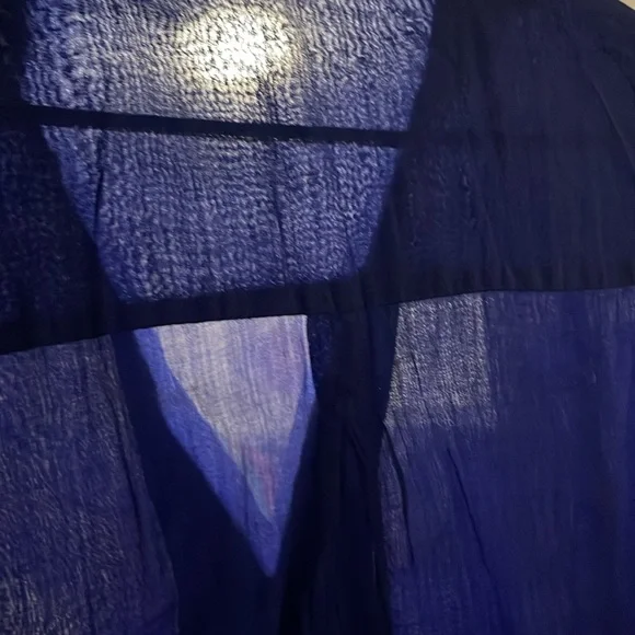 Zara Sheer Blouse - Picture 5 of 7